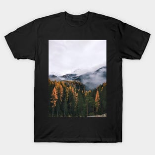 Autumn in the Alps T-Shirt